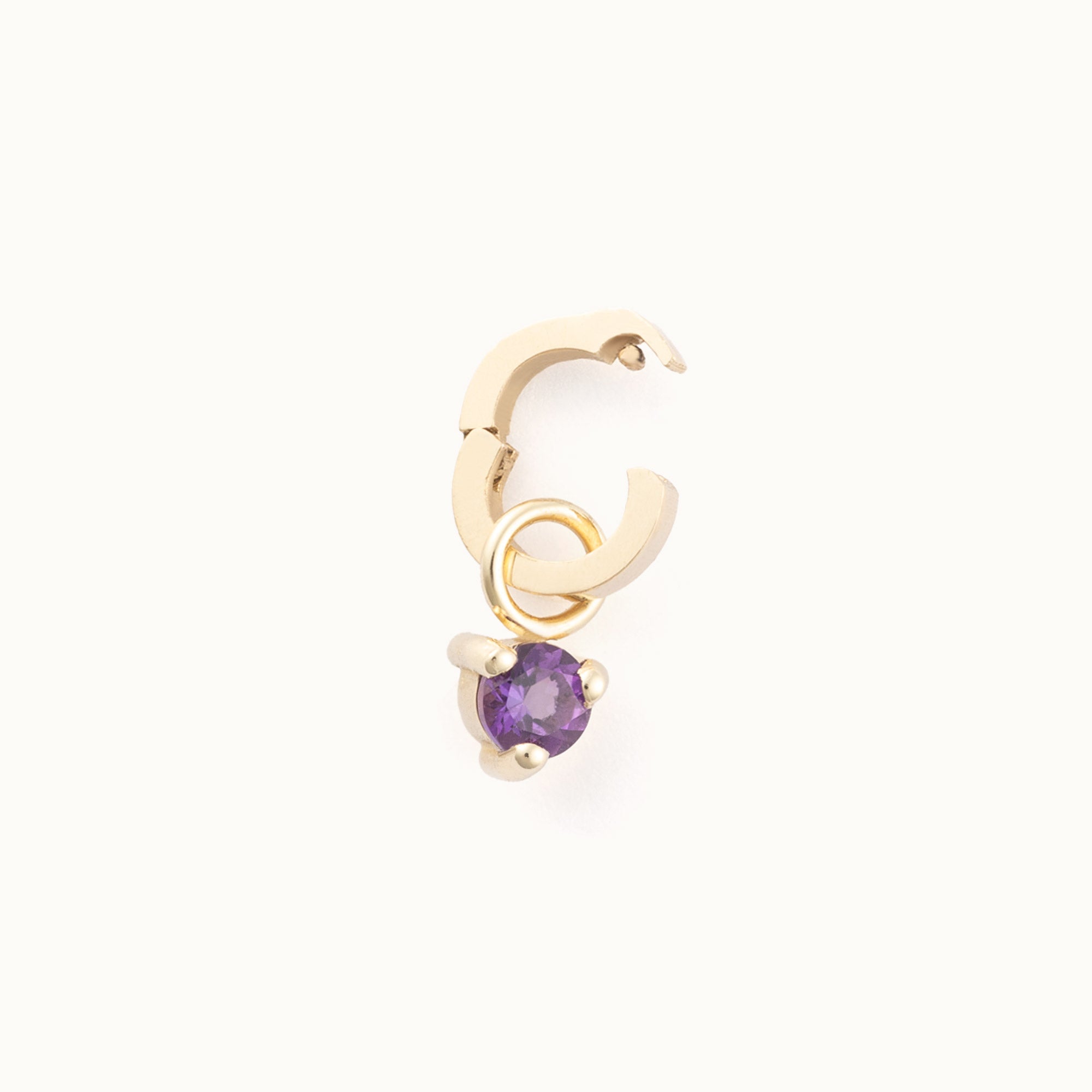 The Amethyst Birthstone Charm in 10K Yellow Gold on White Background