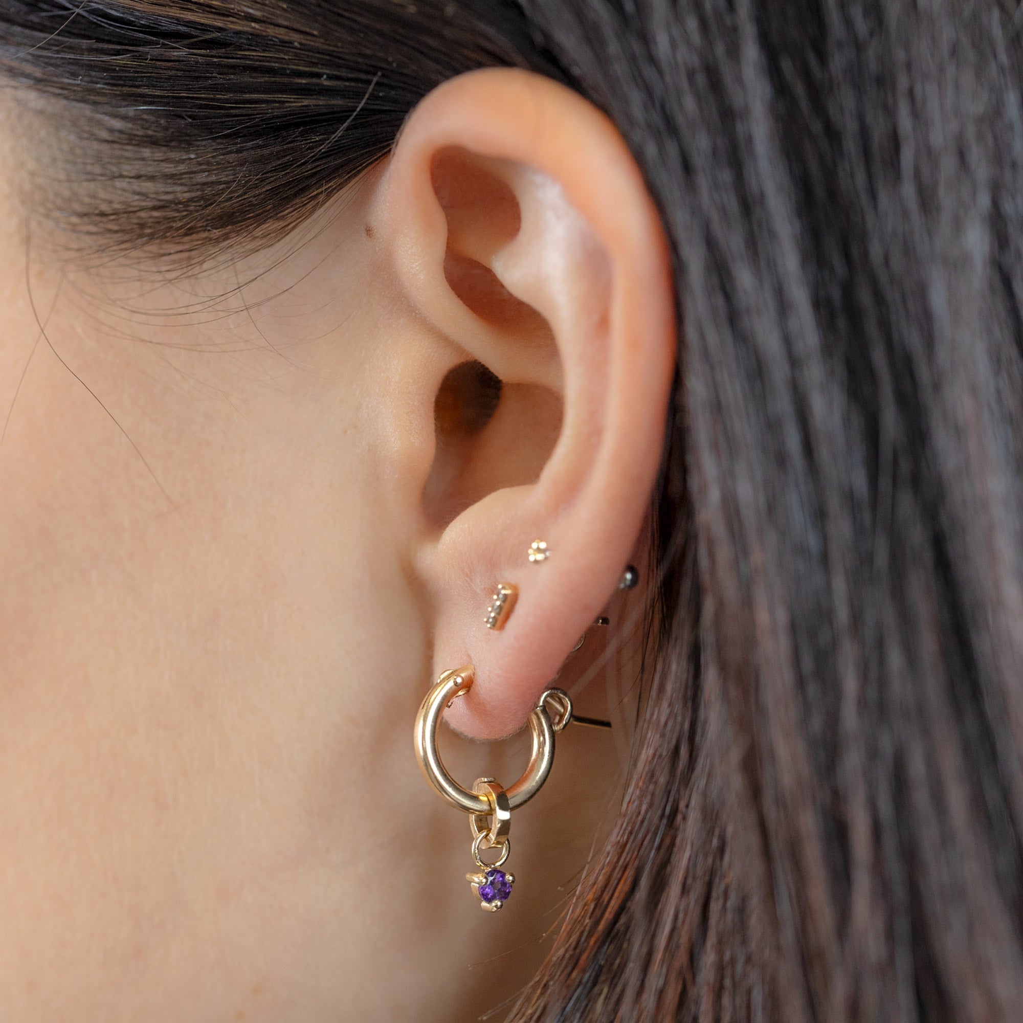 buy:the-amethyst-birthstone-charm-10k-yellow-gold,the-charm-hoop-earrings-gold-filled