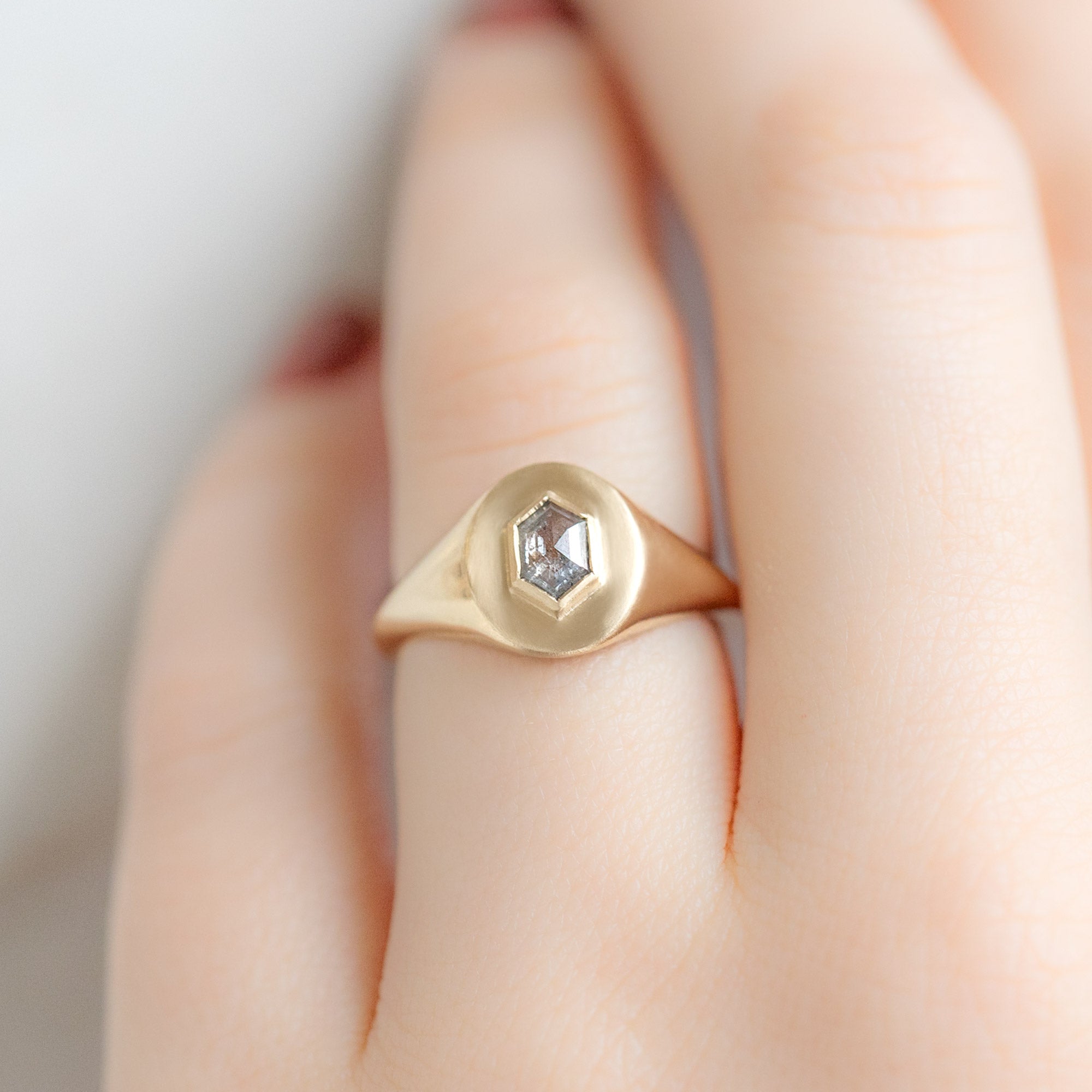 The Signet Ring with a 0.38ct Hexagon Salt and Pepper Diamond in 10K Yellow Gold on model