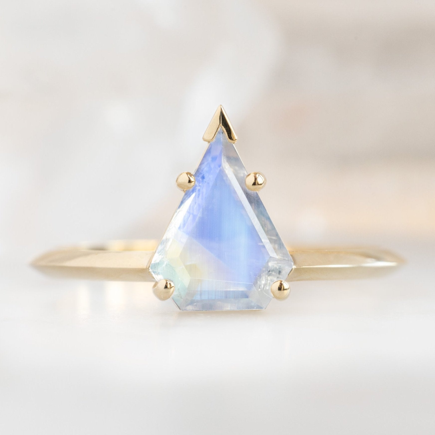 The Sage Ring | 1.17ct Shield Moonstone in 14K Yellow Gold