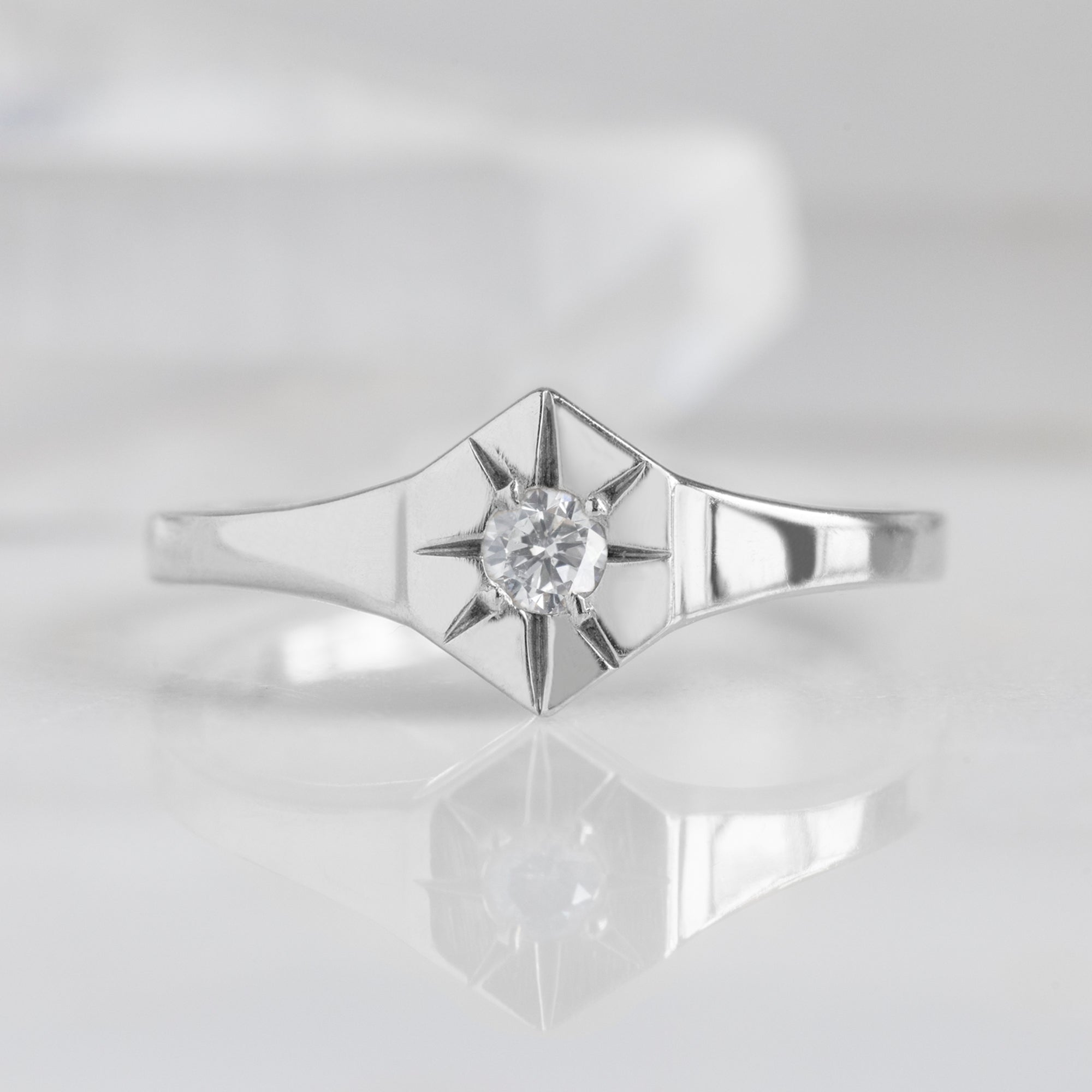 Custom White Diamond Birthstone Signet Ring | 10K White Gold